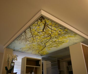 Lichtfeld bedruckt